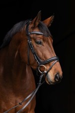 Trensenzaum Anatomic Warmblut Full schwarz