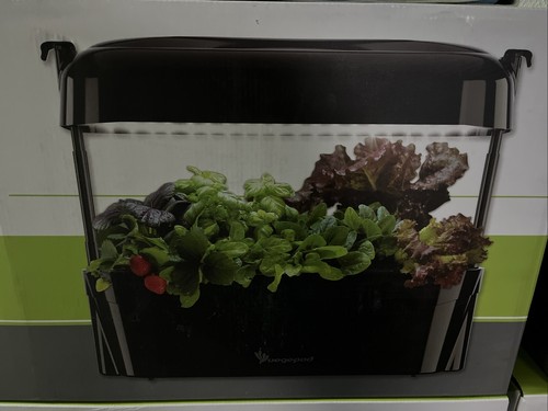 Vegepod kitchen garden - kitchen,