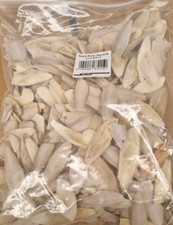 1 kg Sepiaschalen Lucky Reptile klein mit Bruch Sepia Sepiaschale Kalzium