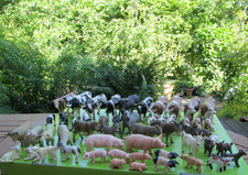 Schleich:-  Tiere vom Bauernhof-Teil 2 - hier 13226  Schaf fressend 1994-Rarität