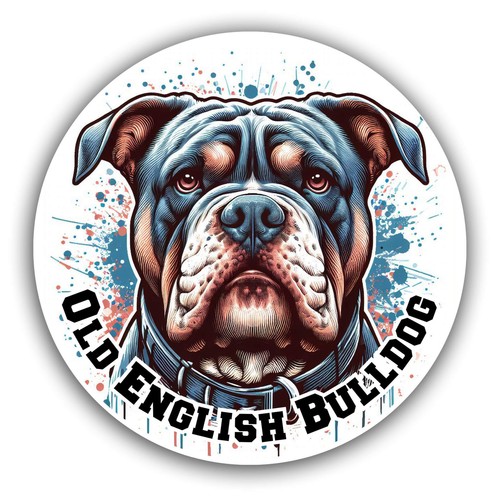 Old english bulldog aufkleber - old,