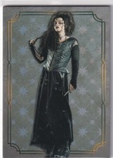 Panini harry potter - panini, evolution