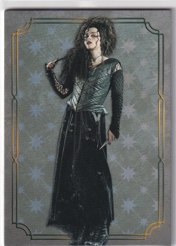 Panini harry potter - panini,
