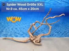👋XXL Moorkien - Spiderwood Aquarium Wurzel