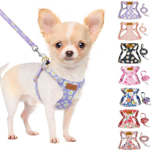 Hundegeschirr pull - hundegeschirr, no-pull