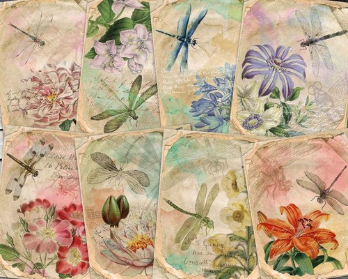 Scrapbook papier basteln - papier,