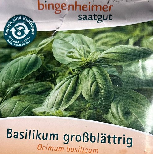Basilikum großblättrig - ,