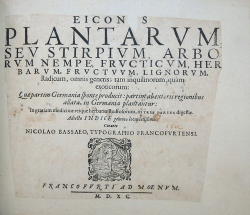 Botanik kräuterbuch - botanik,