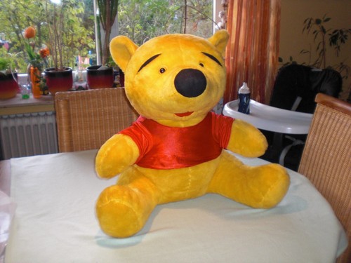 Winnie the pooh - winnie,