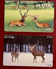 JAPAN___Rehe Hirsche deer___2