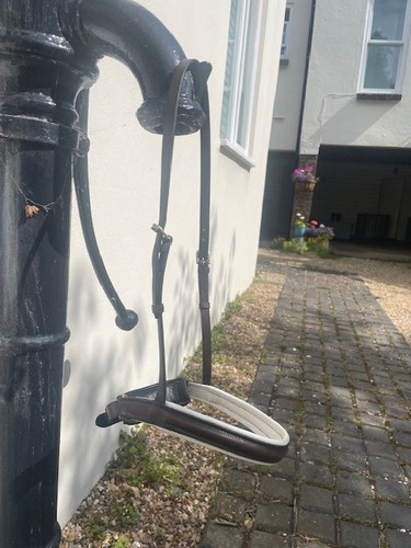 Kate negus weiß gefüttert - weiß,