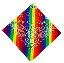 Regenbogen Pride Paisley