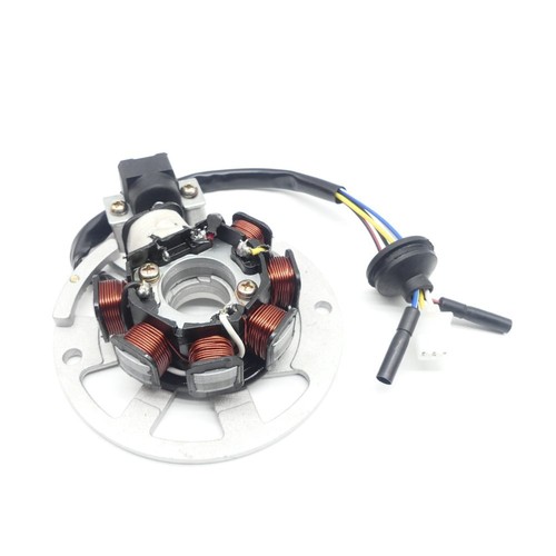 Lichtmaschine für motowell - für,