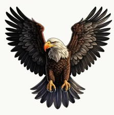 3D Autoaufkleber Adler