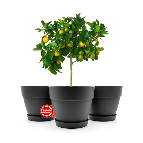übertopf blumentopf mit - Übertopf,
