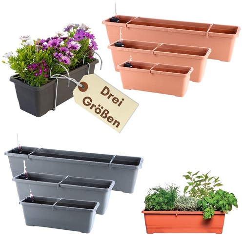 Blumenkasten fensterbank - blumenkasten,