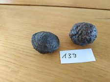 139 Moqui Marbles -Lebende