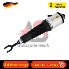 Audi A8 D3 Federbein