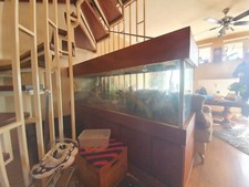 terrarium schrank