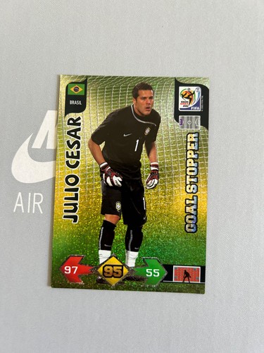 Panini adrenalyn 2010 - panini, wm