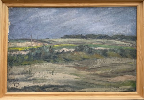 Peter rostrup bøyesen - rostrup,
