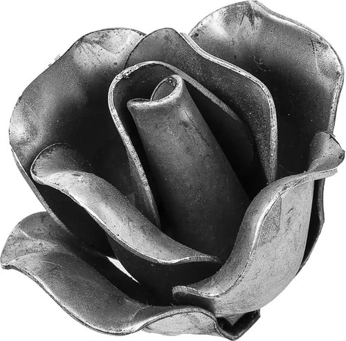 Zierblumen blumenmotive - zierblumen,
