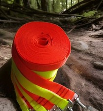 Schweißleine,Mantrailing,Trai