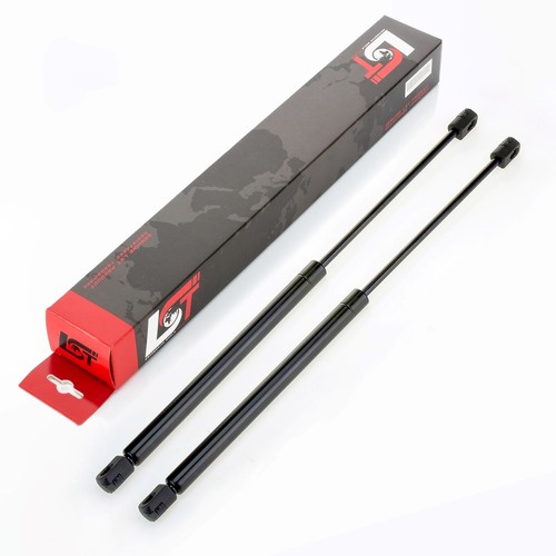 Gasfeder - 2x,
