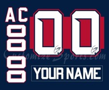 Adler Mannheim Customized