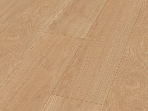 Designboden kiwi now - designboden,