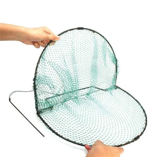 Vogelfalle fangen lebend - vogelfalle,