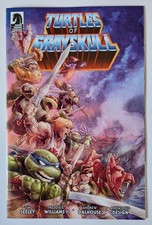 MASTERS OF THE UNIVERSE TMNT: TURTLES OF GRAYSKULL #4 | US-Comic (2025) Cover C