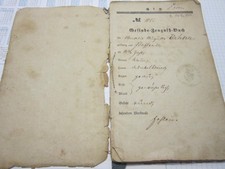 Gesinde-Zeugniß  Amalie