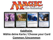 MTG Kaldheim EN Wähle deine Karte Common und Uncommon Magic The Gathering Karten