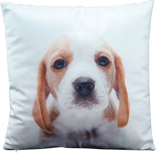 Kissen tiermotiv hund - tiermotiv,