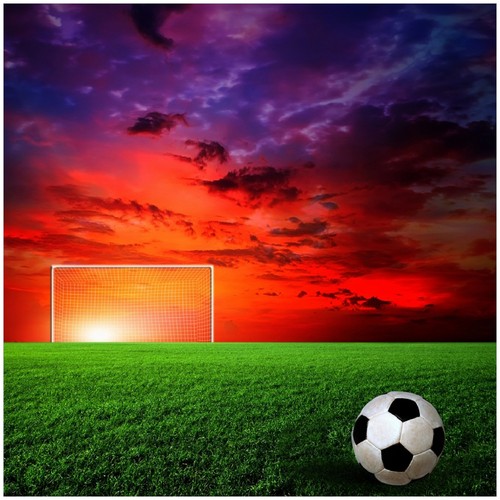 Wallario memoboard glas - wallario,