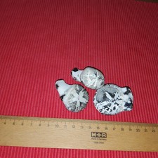 3 TOP  VERSTEINERTE SEEIGEL