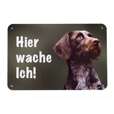 Deutsch Drahthaar DD-