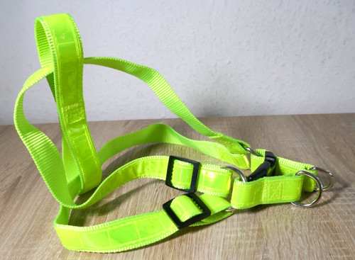 ❤️NEONGRÜNES