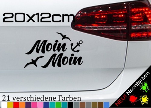 Moin möwen - moin,