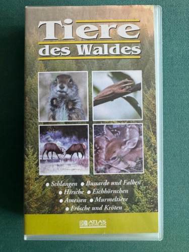 Tiere des waldes - des, waldes,