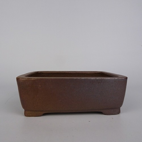 Japanische bonsai topf - bonsai,