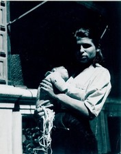 Foto Avignon Vaucluse