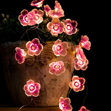 Kirschblüten Lichterkette Mit