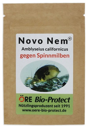 Ambly calif raubmilben - calif.,