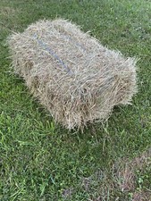 Allgäuer Heu, 16 kg Qualitäts Heuballen, Natur, 1. Schnitt 2024