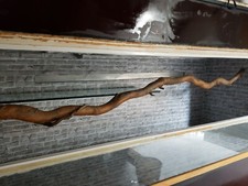 Repiterra Terrarium schlang Schildkröte Holz OSB + Unterschrank  165,5 b 