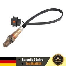 Lambdasonde Regelsonde Ersatz