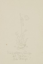 E. STEPPES (1873-1968), Kleine Blume,  1941, Bleistift Moderne Stillleben