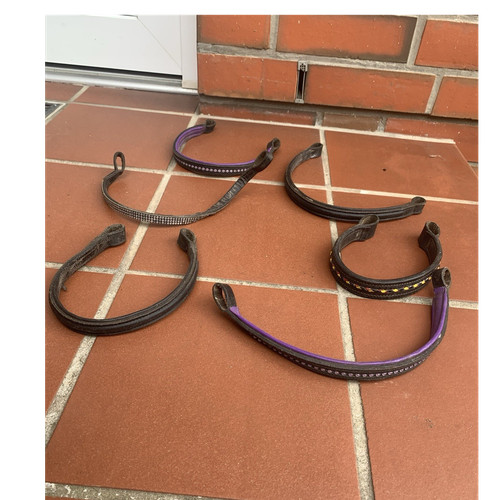 Stirnbänder für trensen - für,